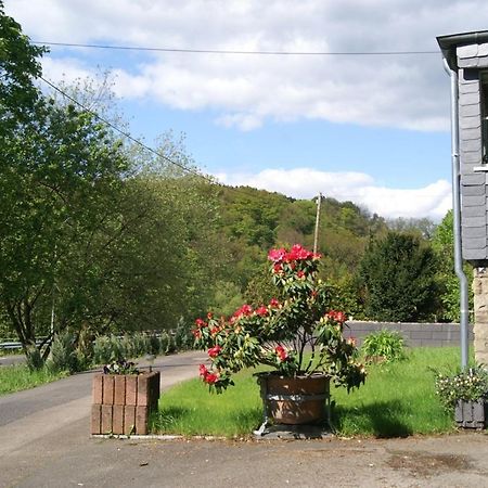 Pension Oberberg Линдлар Экстерьер фото