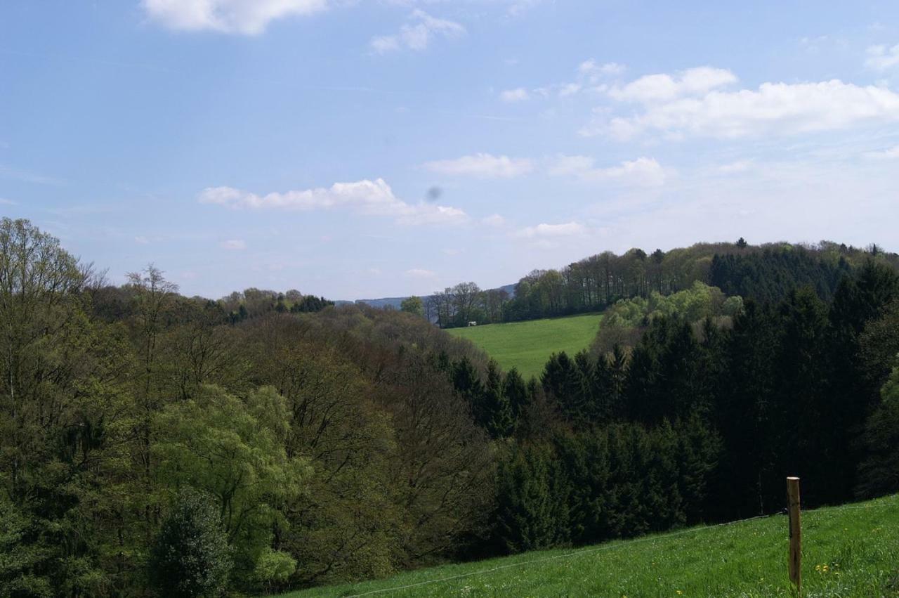 Pension Oberberg Линдлар Экстерьер фото
